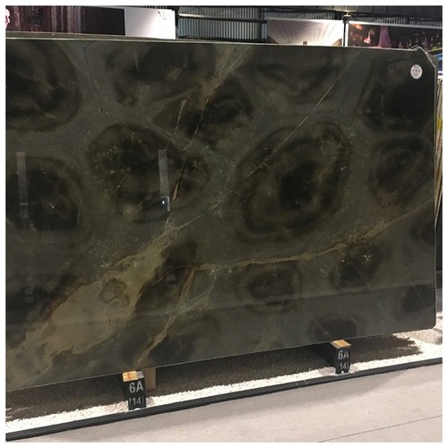 Brazilian Turtle Quartzite Brazilian Turtle Quartzite