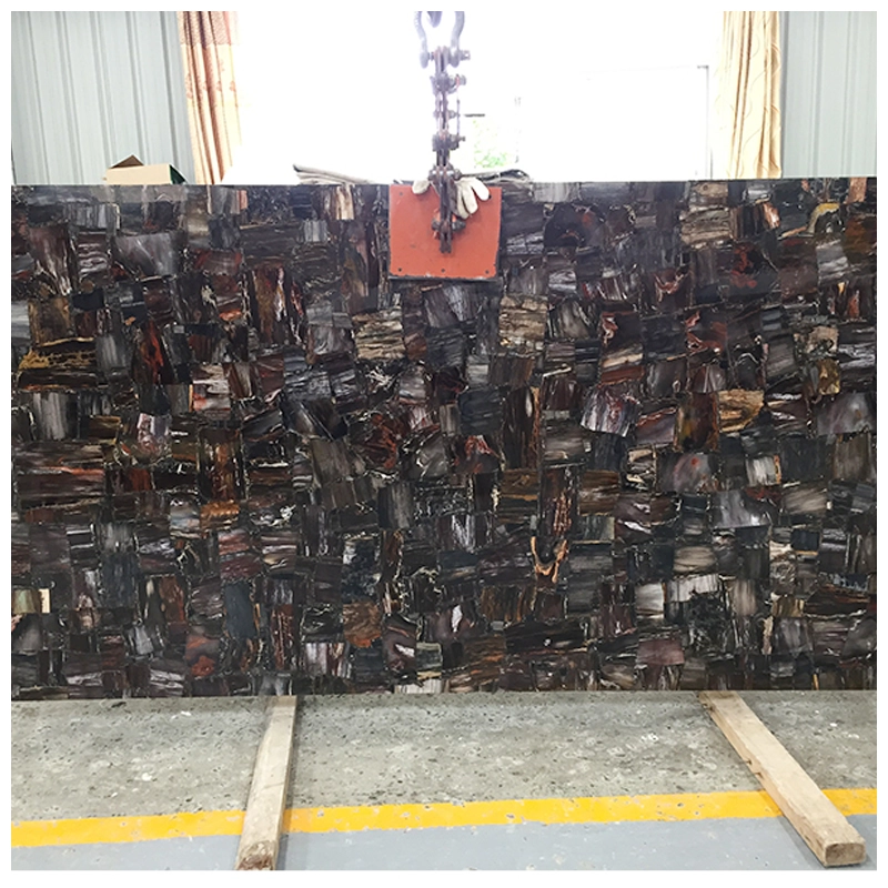 Black Petrified Wood Stone Slabs