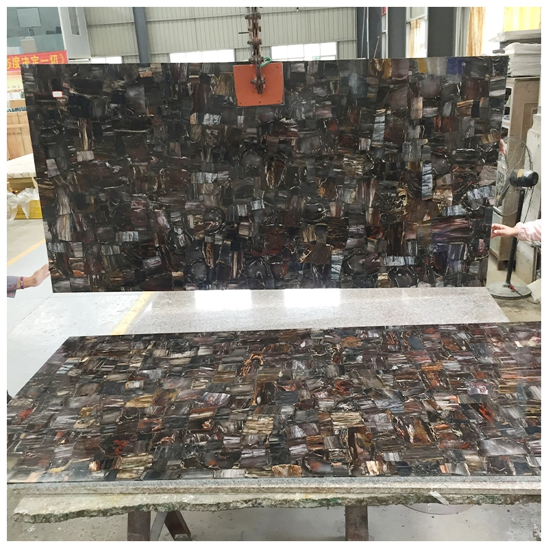 Black Petrified Wood Retro Slab