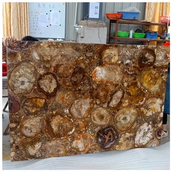 Petrified Wood Slab