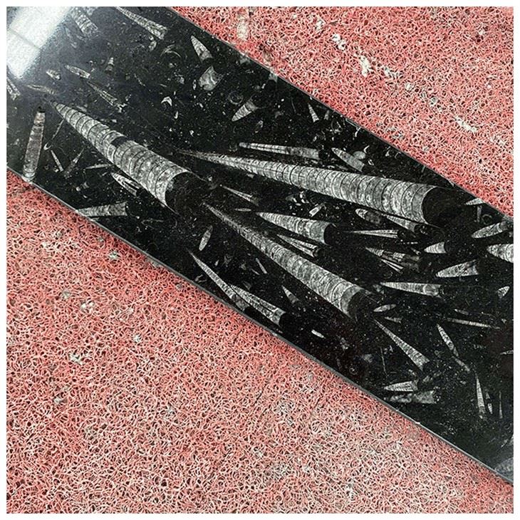 Fossil Black Marble Tiles