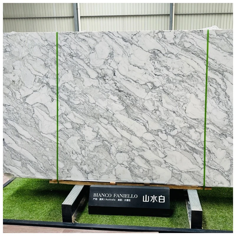 Arabescato Faniello White Marble Arabescato Faniello White Marble