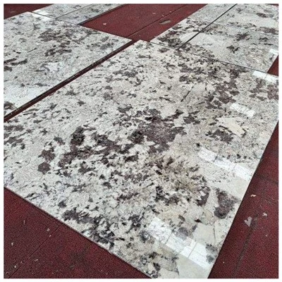 Splendor White Granite Tiles